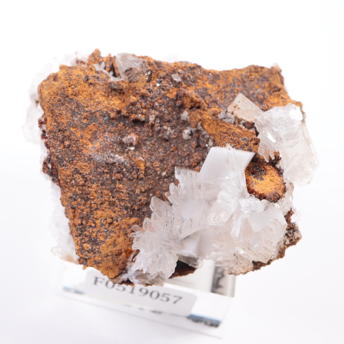 Santa Eulalia�� �إߥ��ե�����