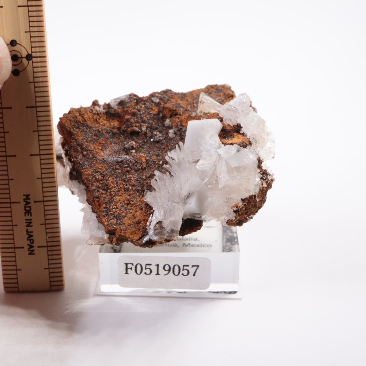 Santa Eulalia�� �إߥ��ե�����