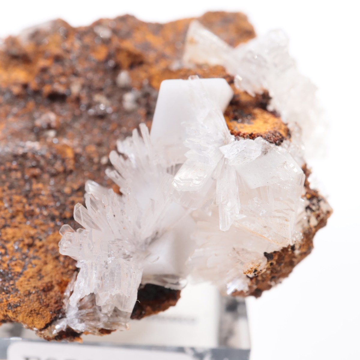 Santa Eulalia�� �إߥ��ե�����