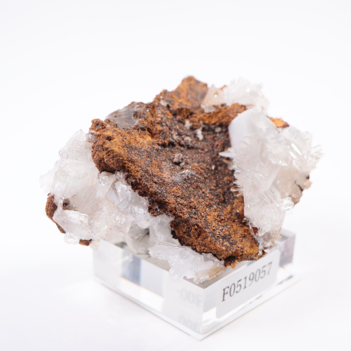 Santa Eulalia�� �إߥ��ե�����