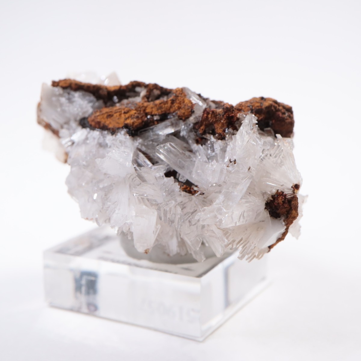 Santa Eulalia�� �إߥ��ե�����