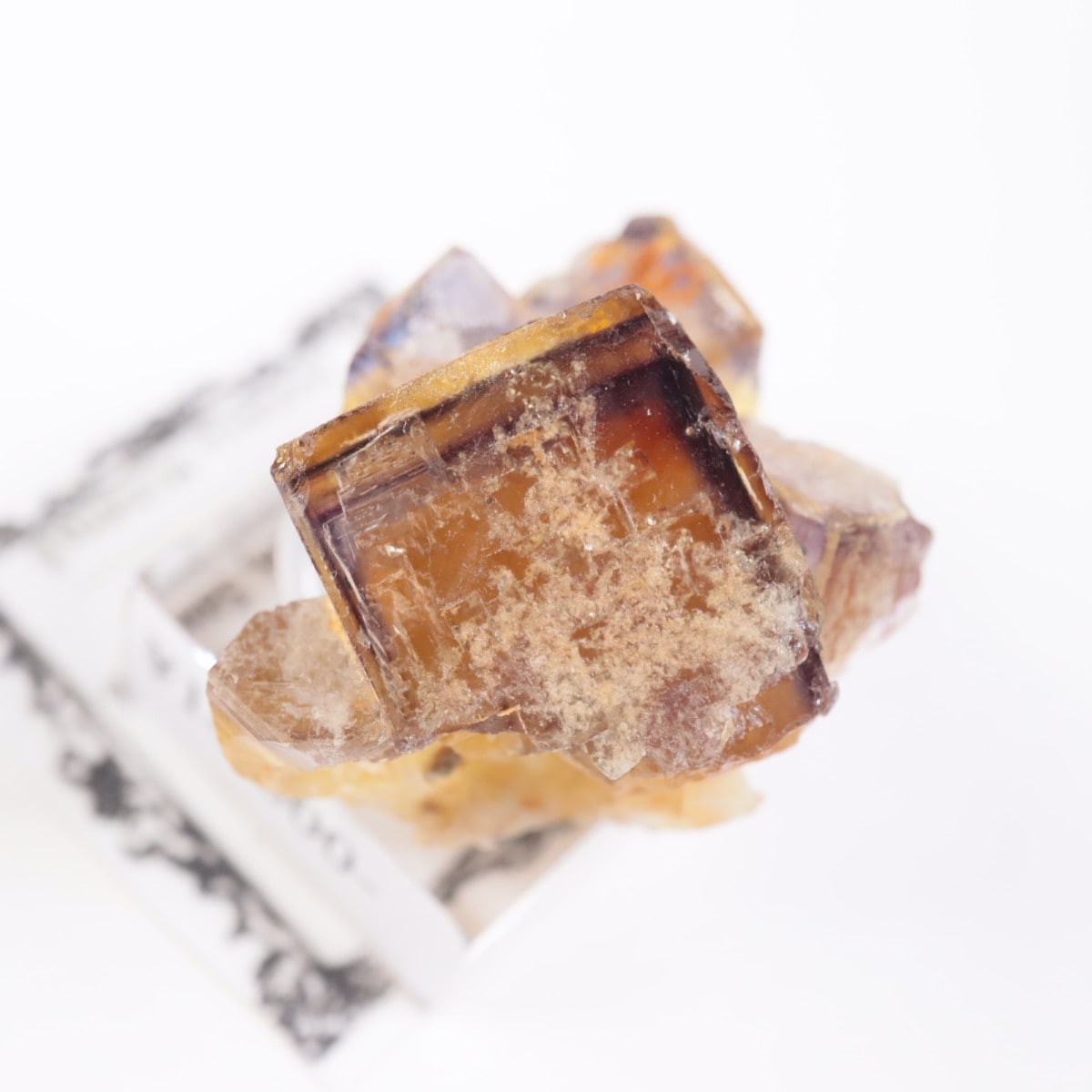 �ɥ��Ļ����ե����饤��