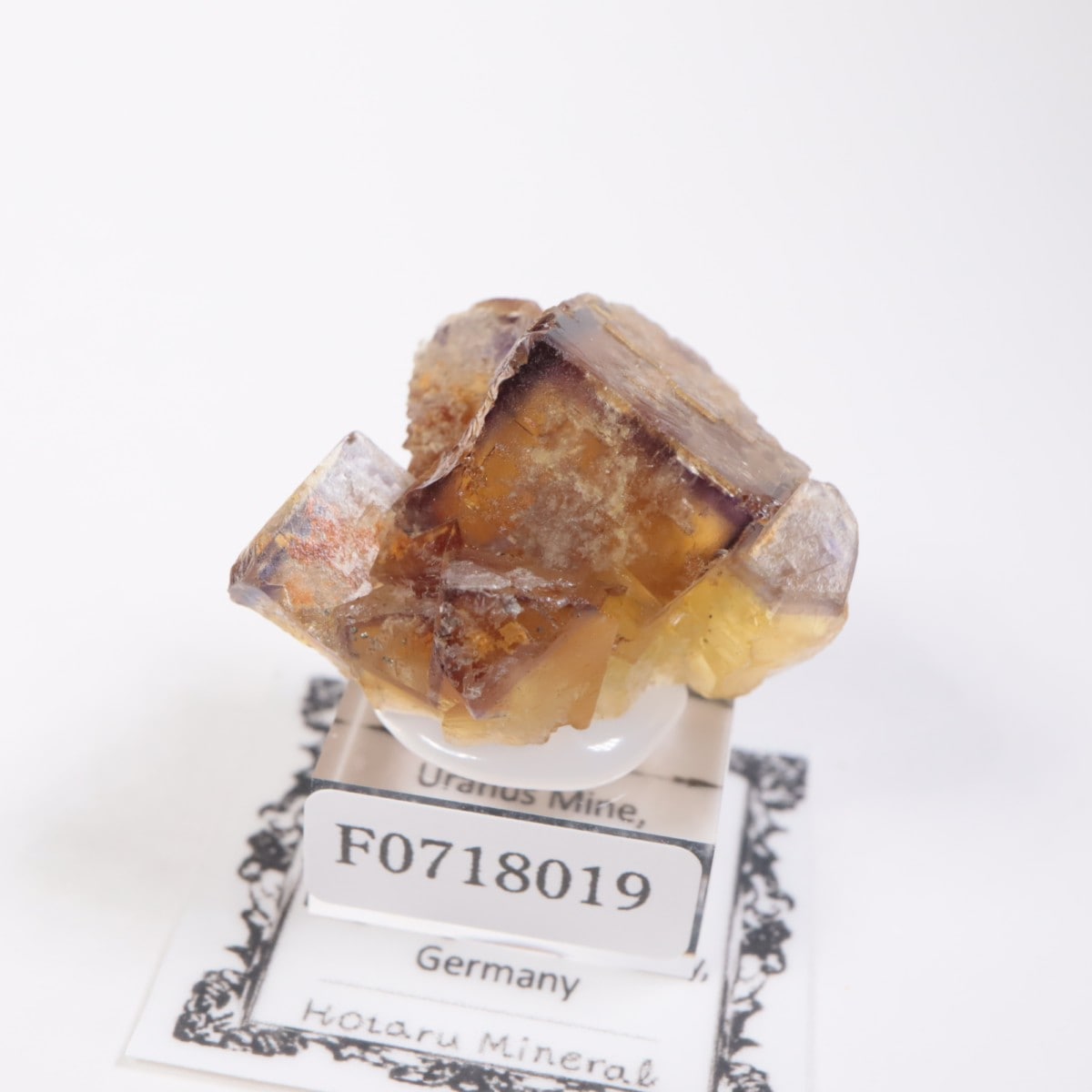 �ɥ��Ļ����ե����饤��