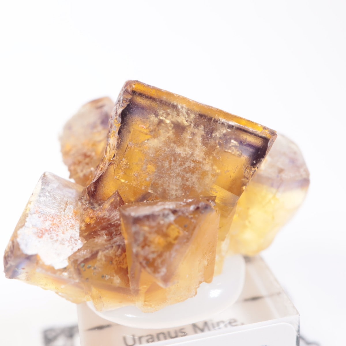 ドイツ産 フローライト | 鉱物標本,ハ行,フローライト/蛍石 | ほたるみ