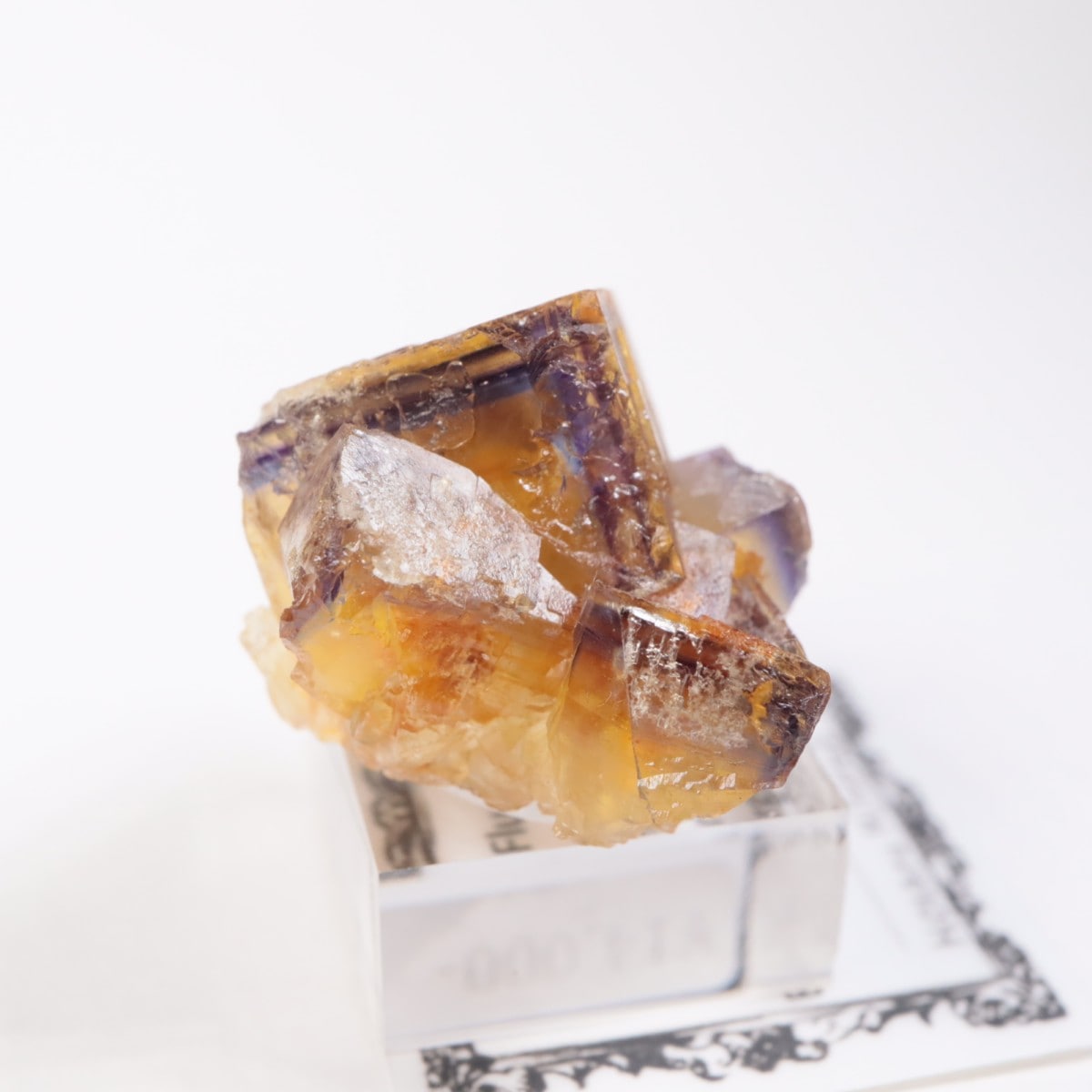 �ɥ��Ļ����ե����饤��