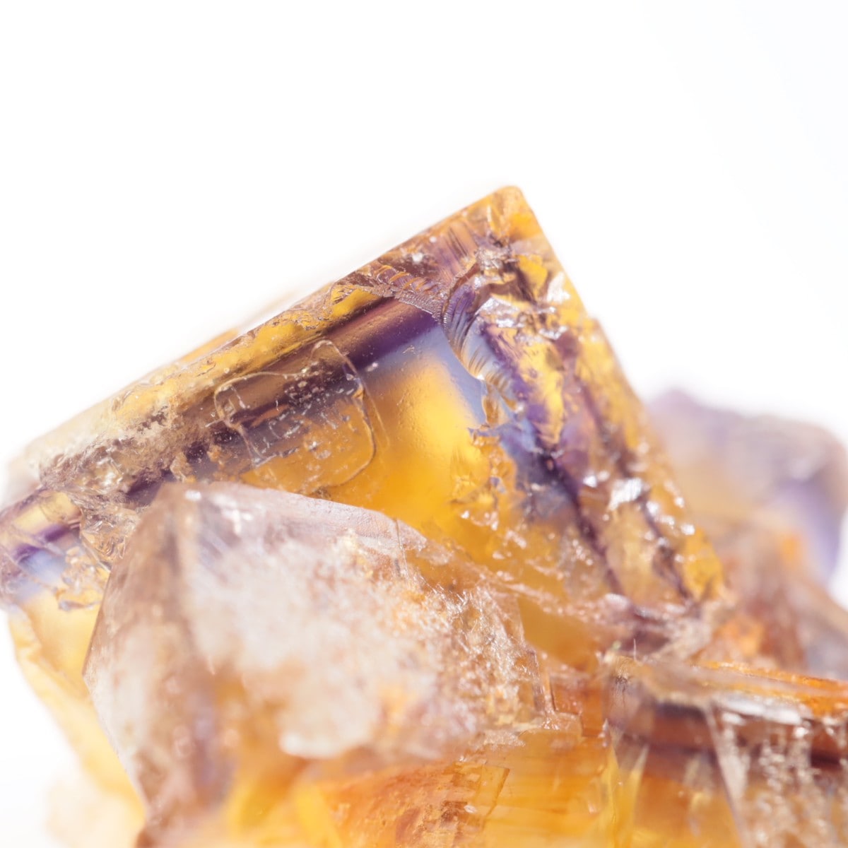 �ɥ��Ļ����ե����饤��