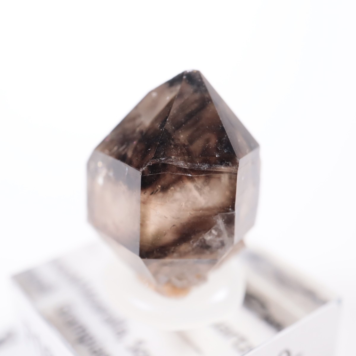 �������ȥ�ꥢ�� ����徽