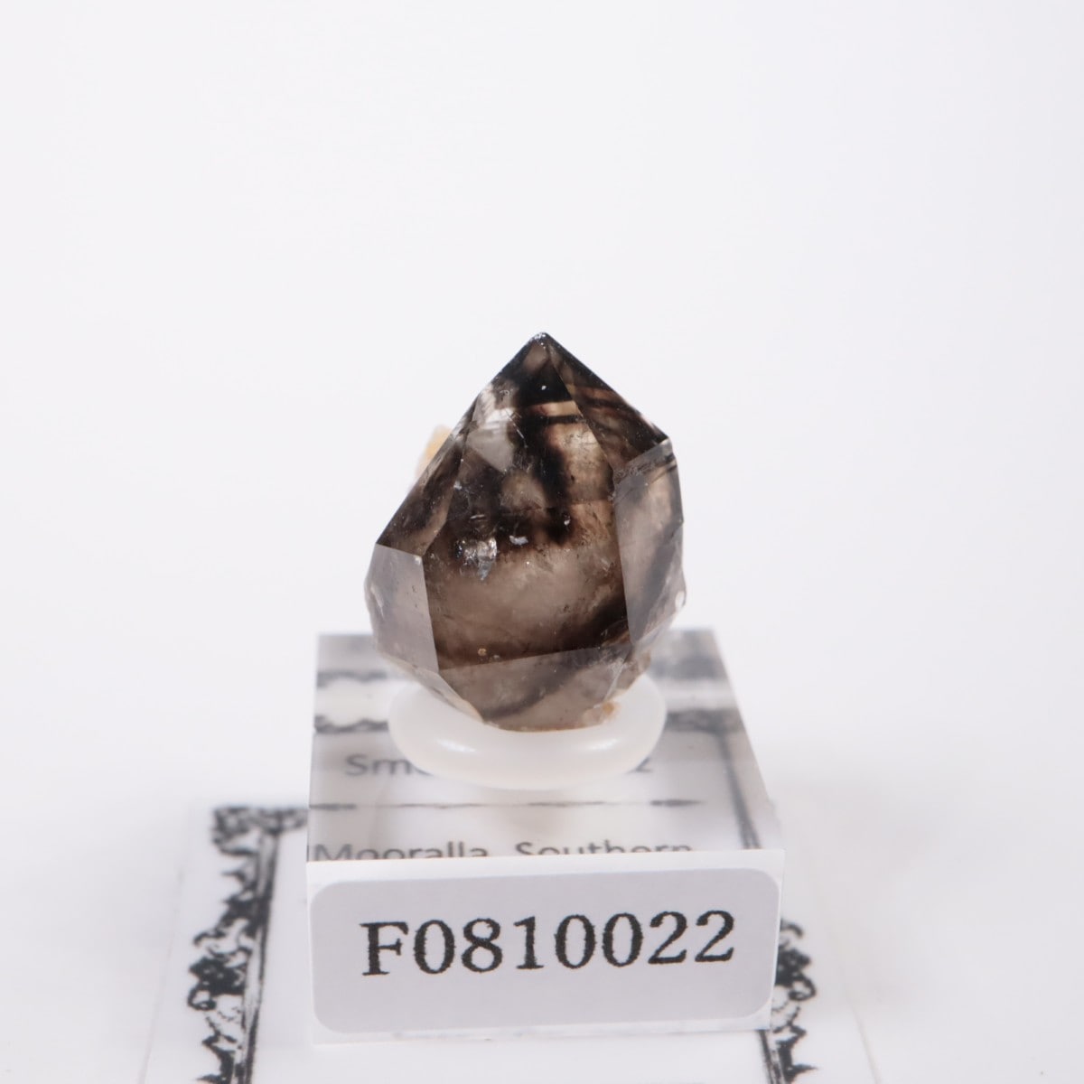 �������ȥ�ꥢ�� ����徽