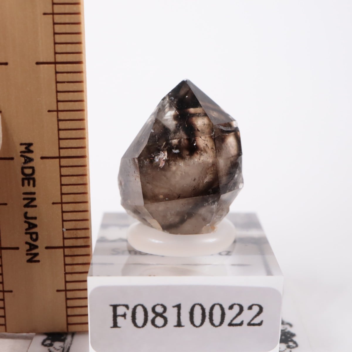 �������ȥ�ꥢ�� ����徽