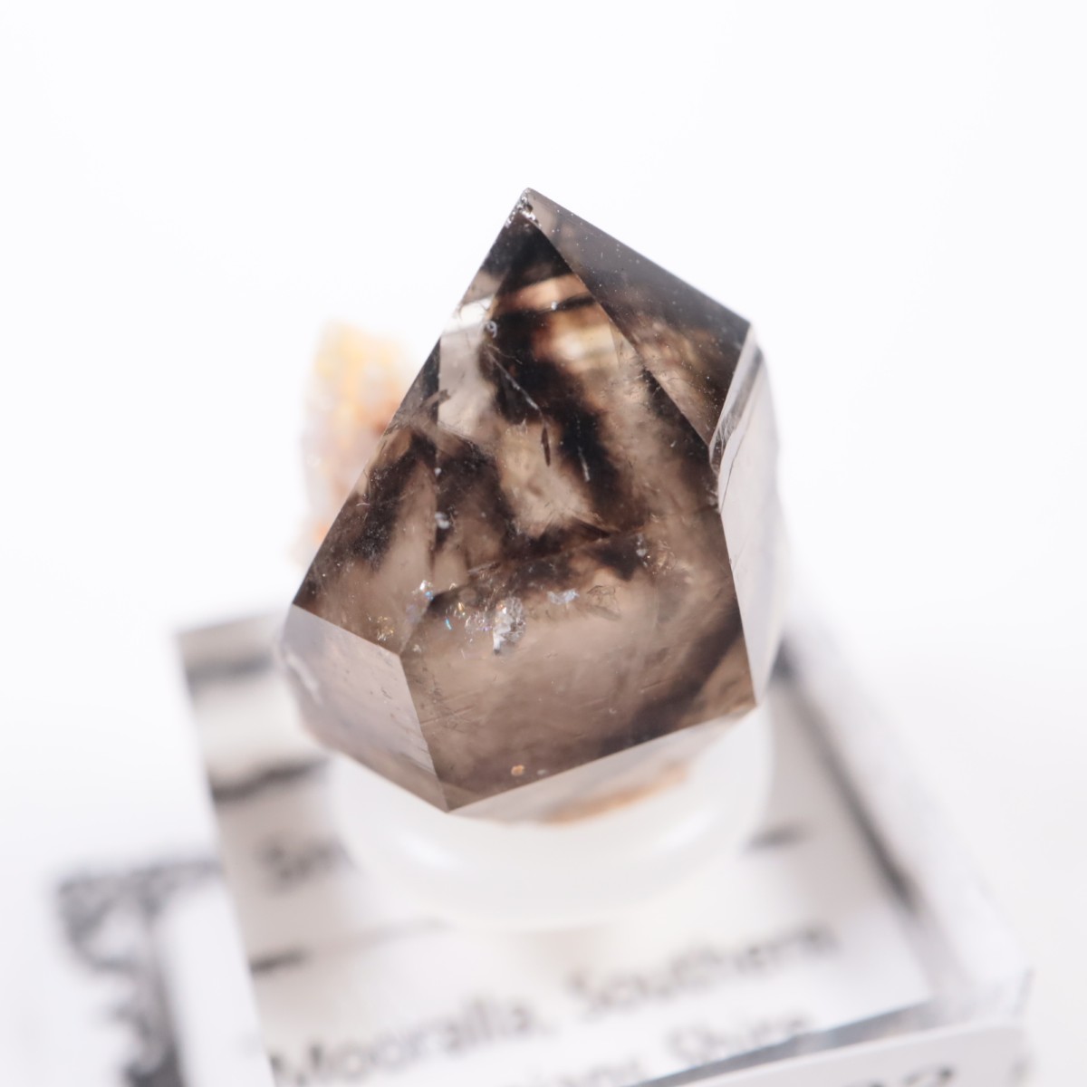 �������ȥ�ꥢ�� ����徽