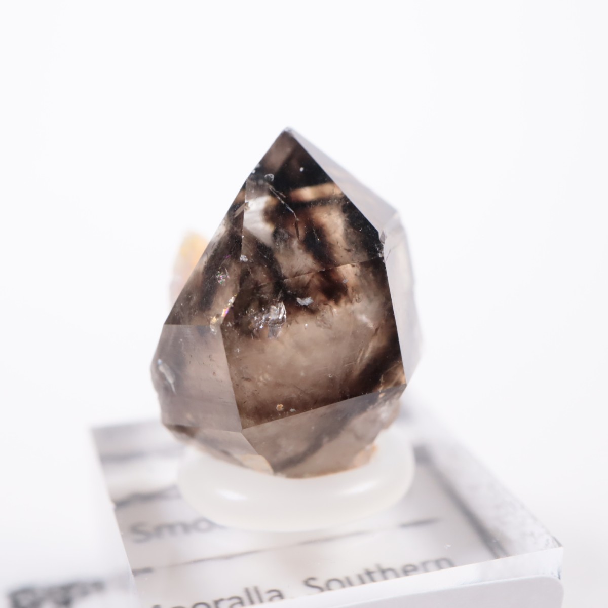 �������ȥ�ꥢ�� ����徽