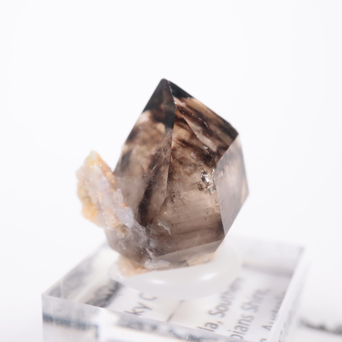 �������ȥ�ꥢ�� ����徽