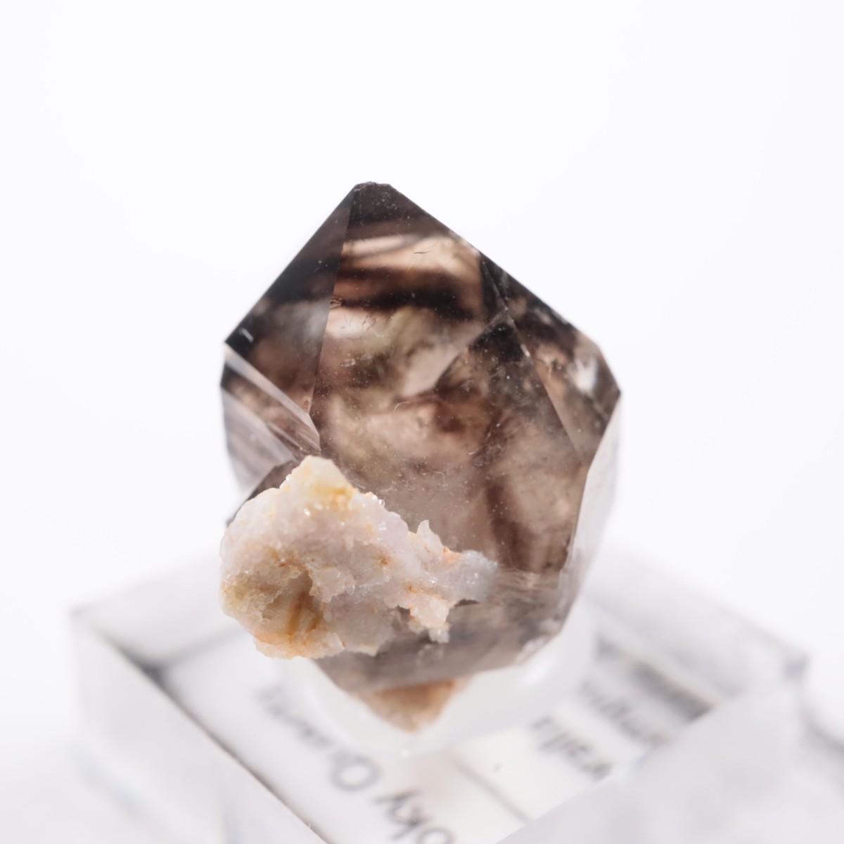 �������ȥ�ꥢ�� ����徽