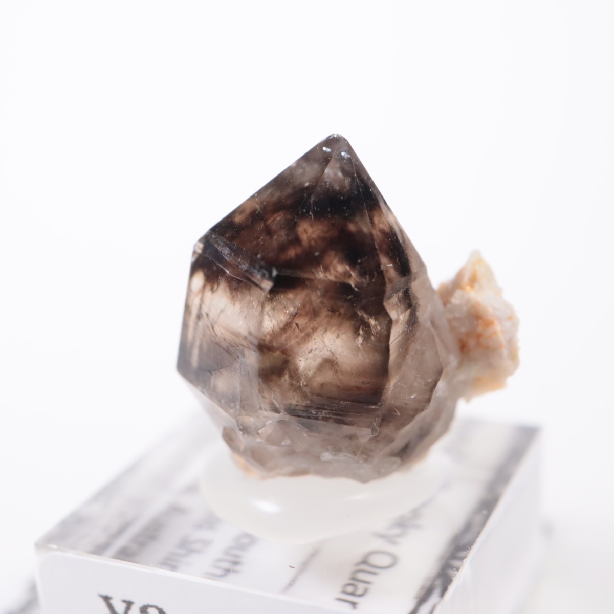 �������ȥ�ꥢ�� ����徽