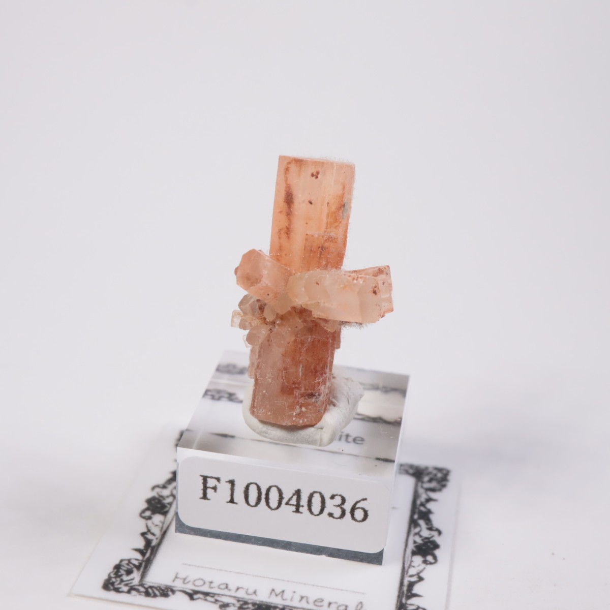 ����å��� ���饴�ʥ���