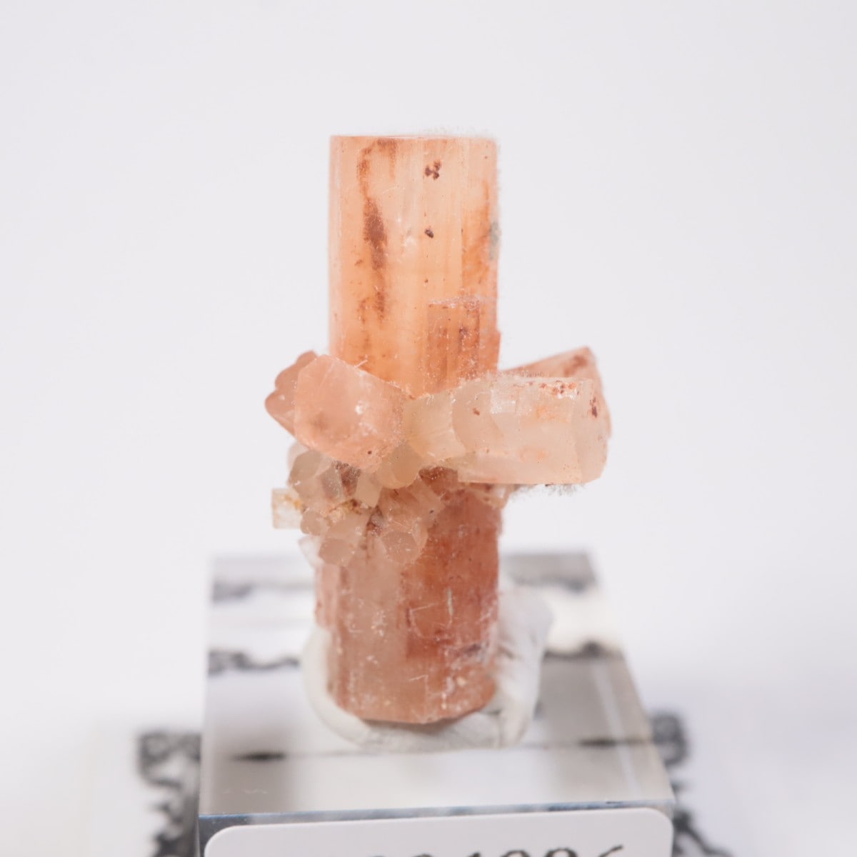 ����å��� ���饴�ʥ���