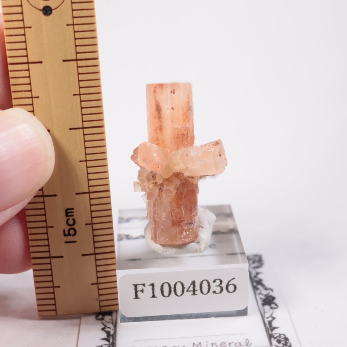 ����å��� ���饴�ʥ���