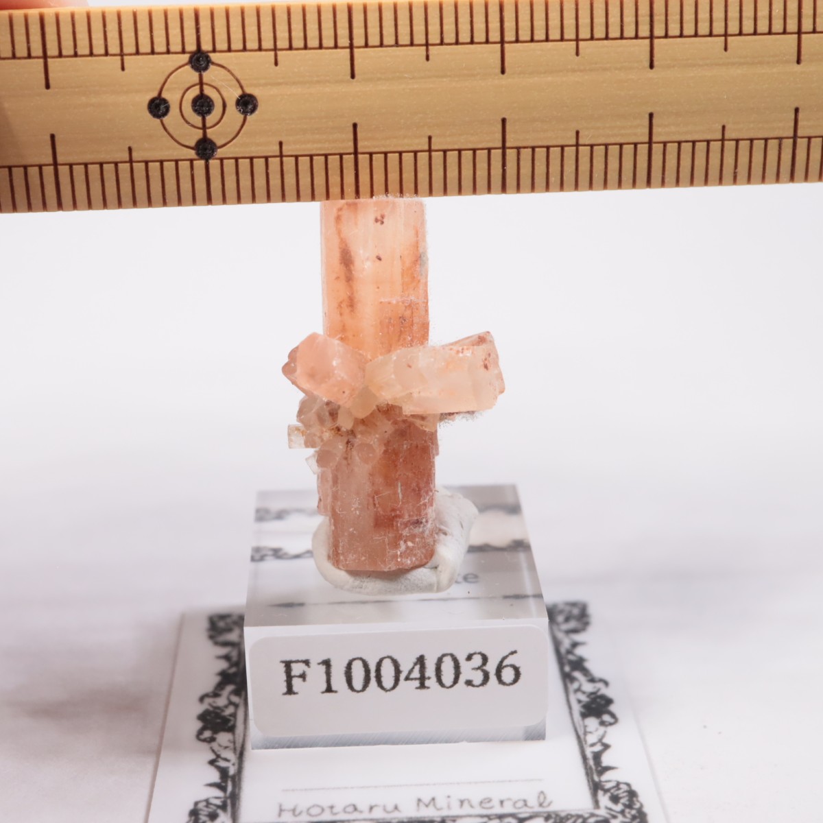 ����å��� ���饴�ʥ���