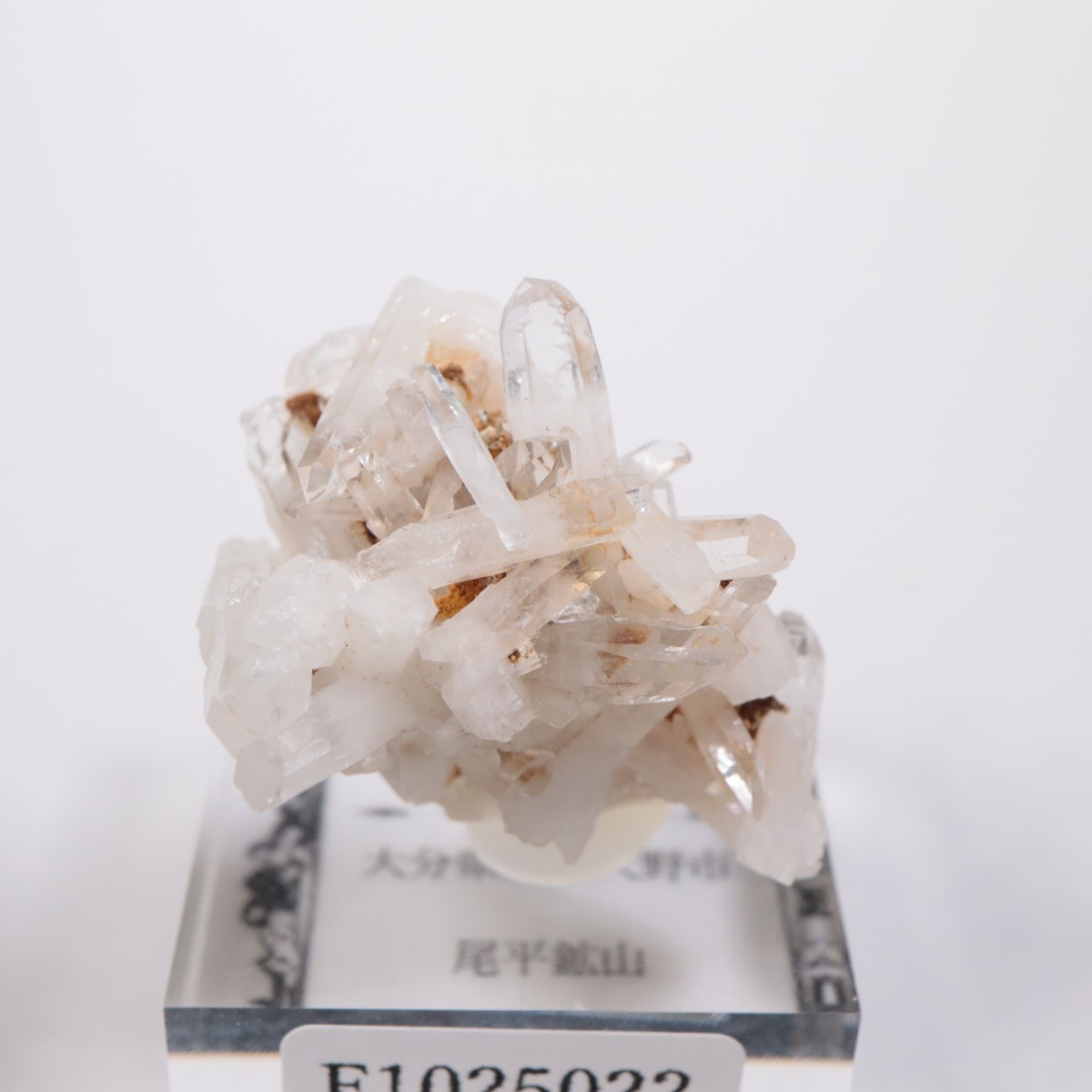 ��ʿ�ۻ� �徽