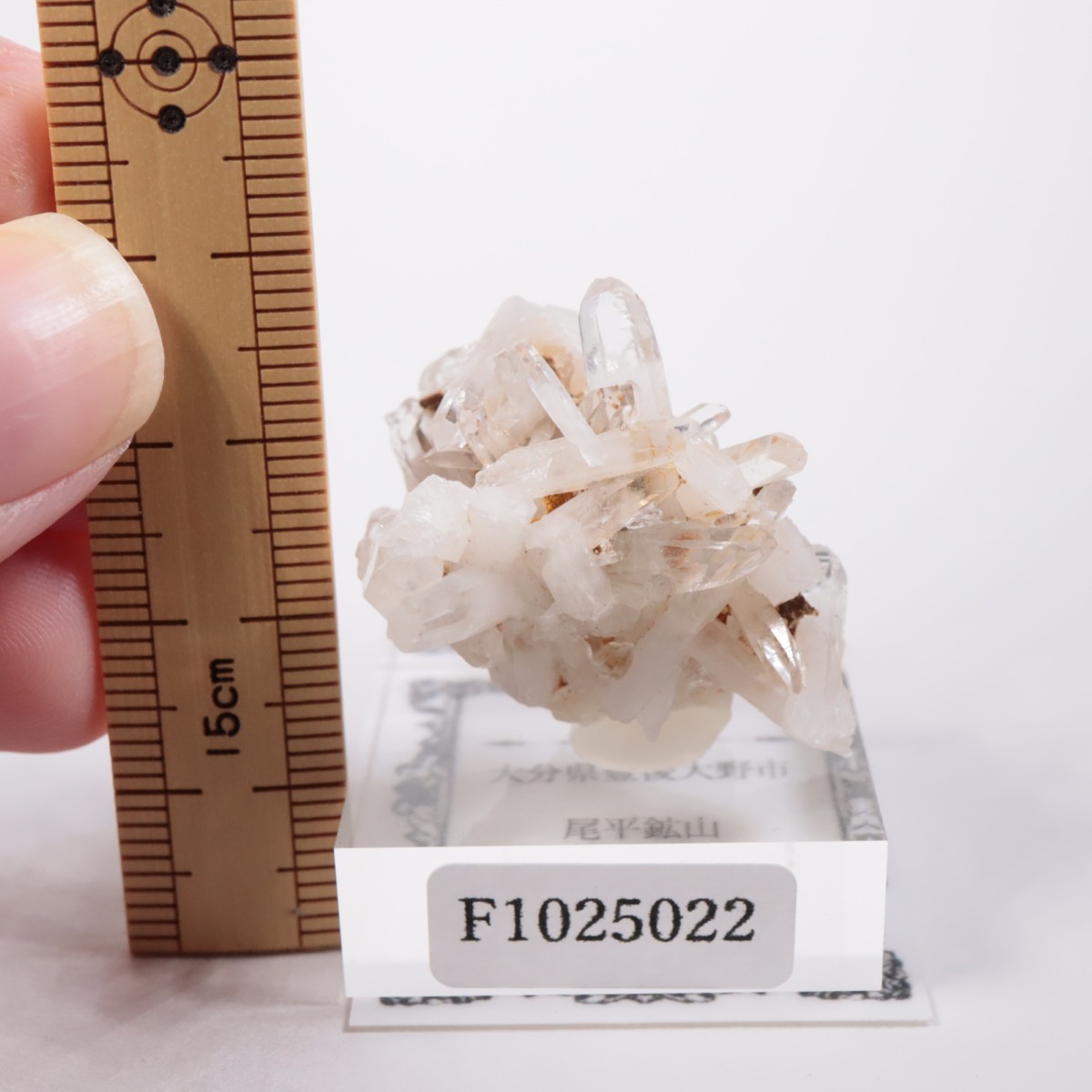 ��ʿ�ۻ� �徽