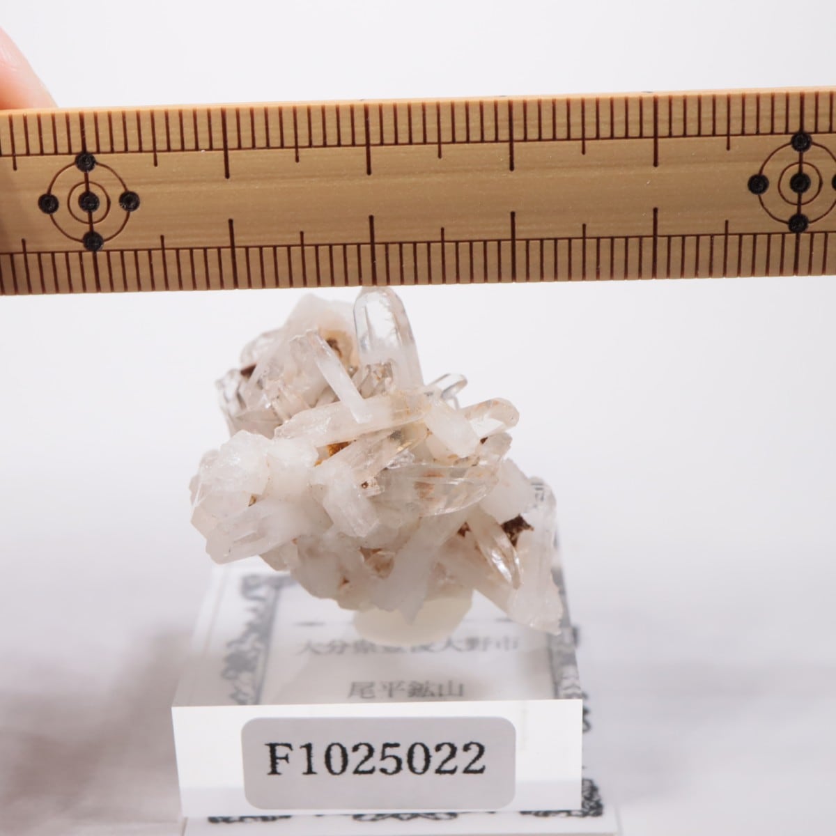 ��ʿ�ۻ� �徽