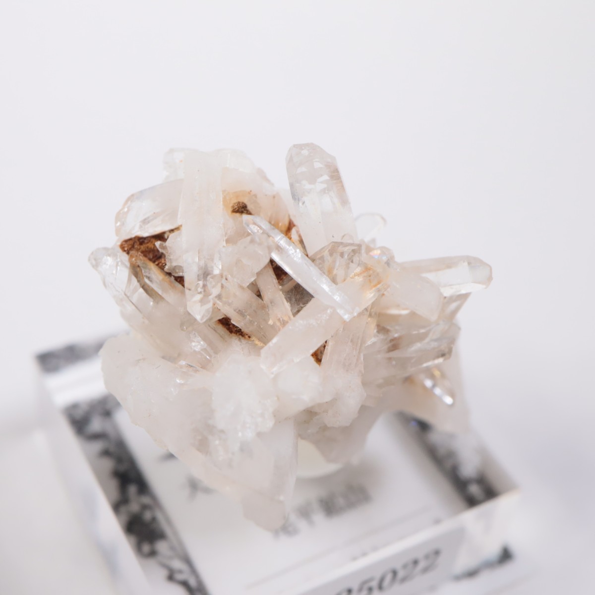 ��ʿ�ۻ� �徽