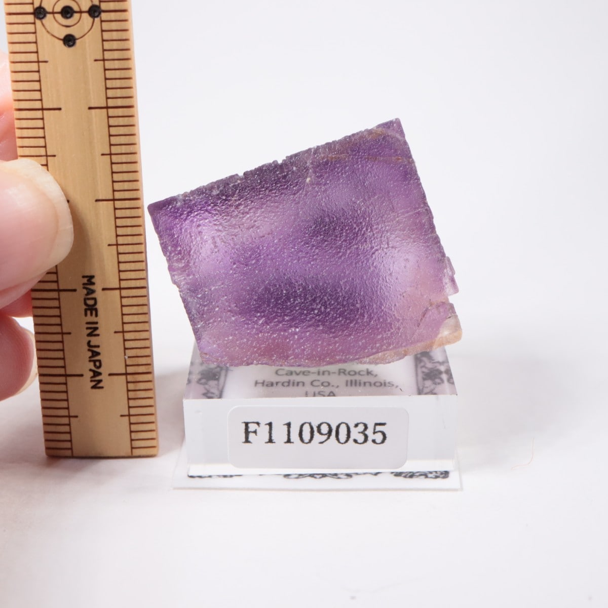 ����Υ����� �ե����饤��