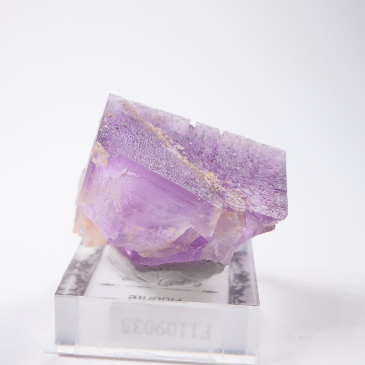 ����Υ����� �ե����饤��