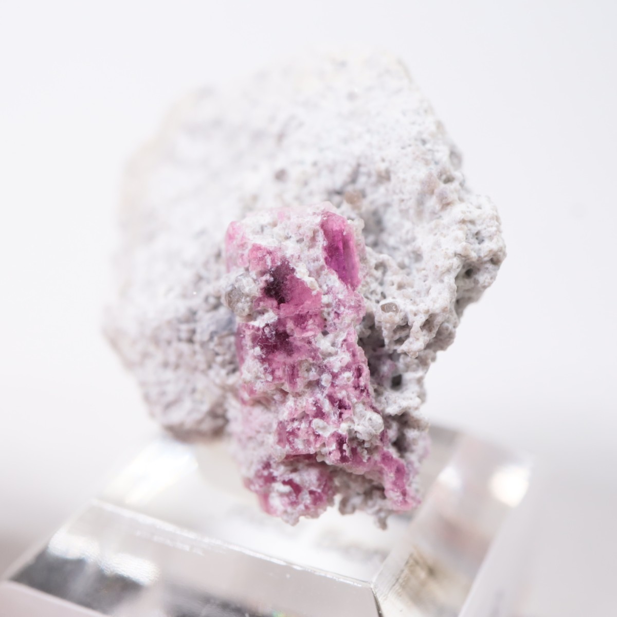 ����ꥫ�� ��åɥ٥��