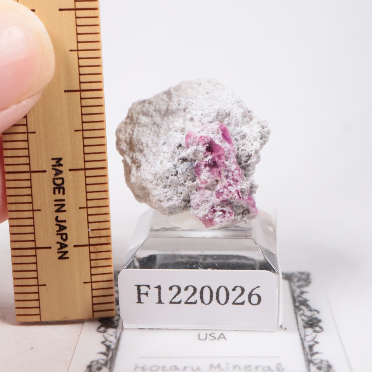 ����ꥫ�� ��åɥ٥��