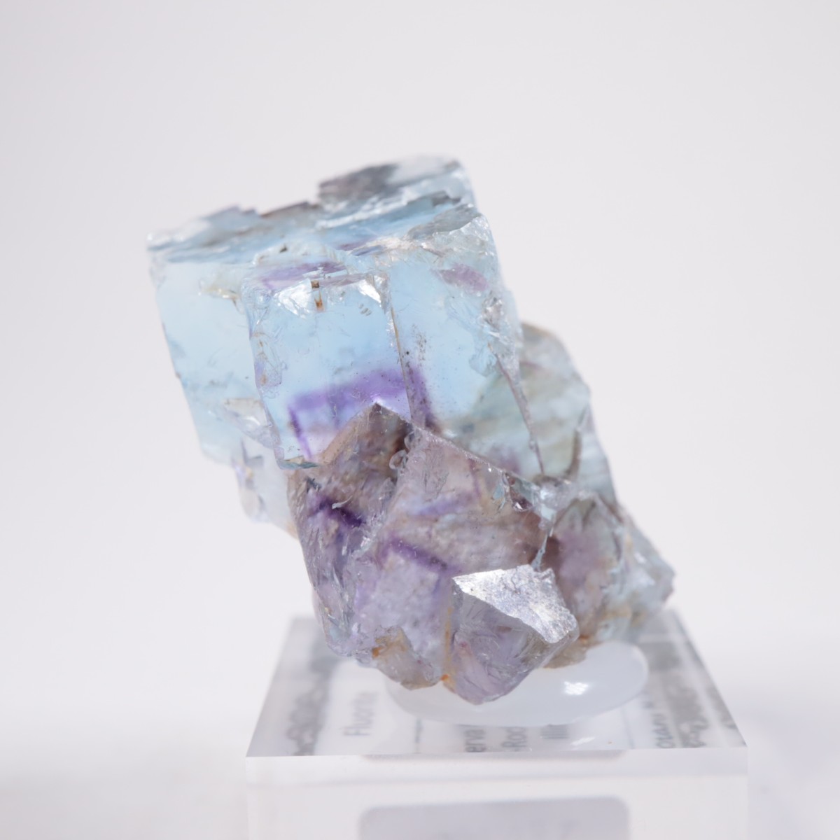 Minerva #1�ۻ� �ե����饤��