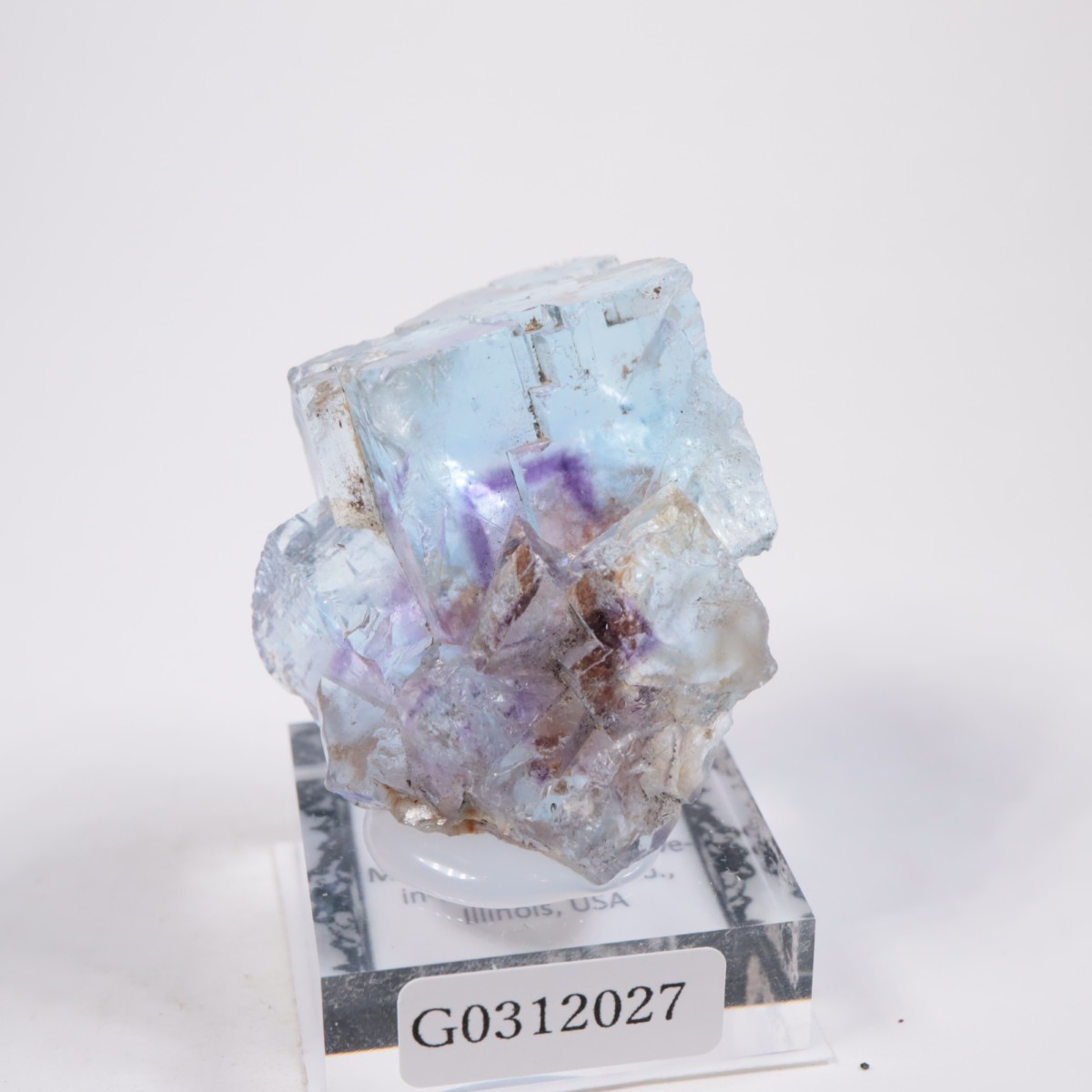 Minerva #1�ۻ� �ե����饤��