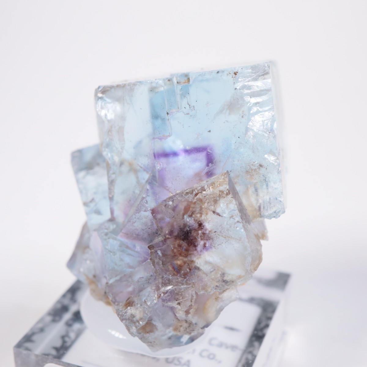 Minerva #1�ۻ� �ե����饤��