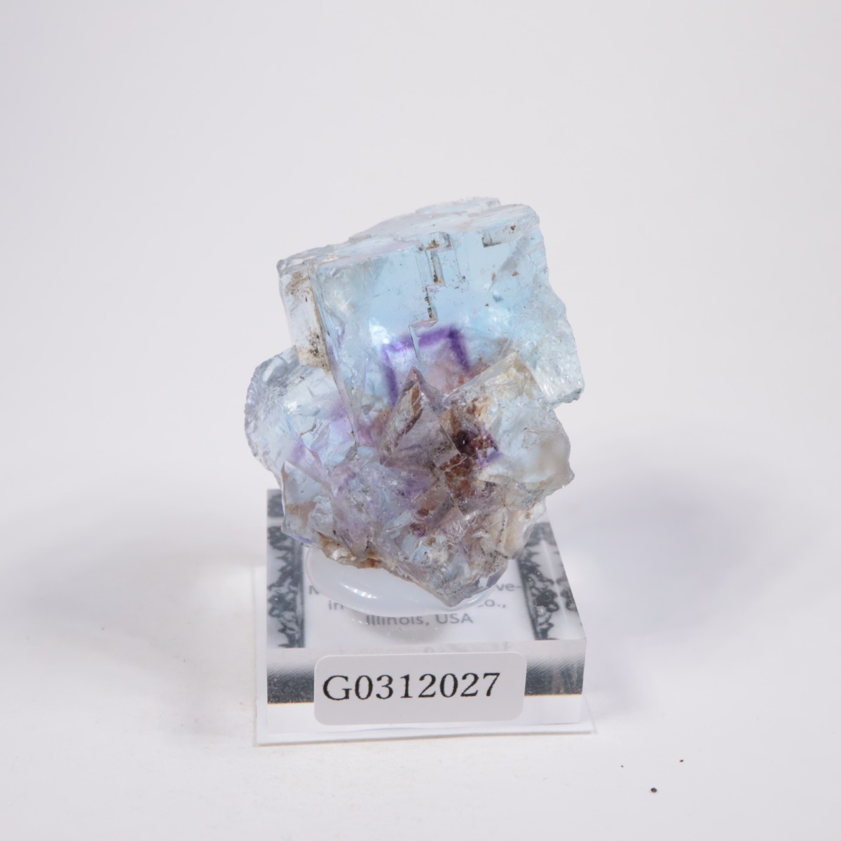 Minerva #1�ۻ� �ե����饤��