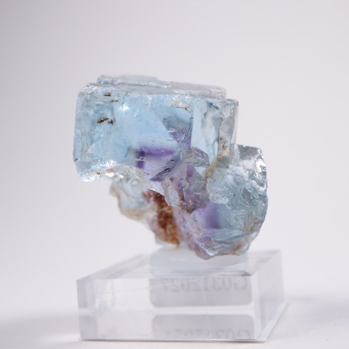 Minerva #1�ۻ� �ե����饤��