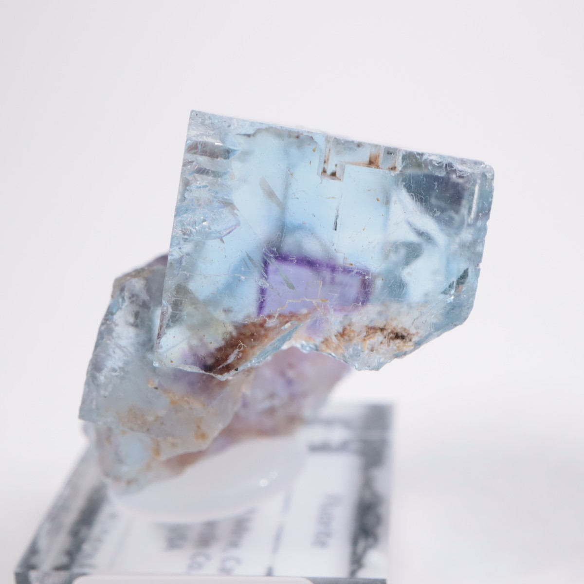 Minerva #1�ۻ� �ե����饤��