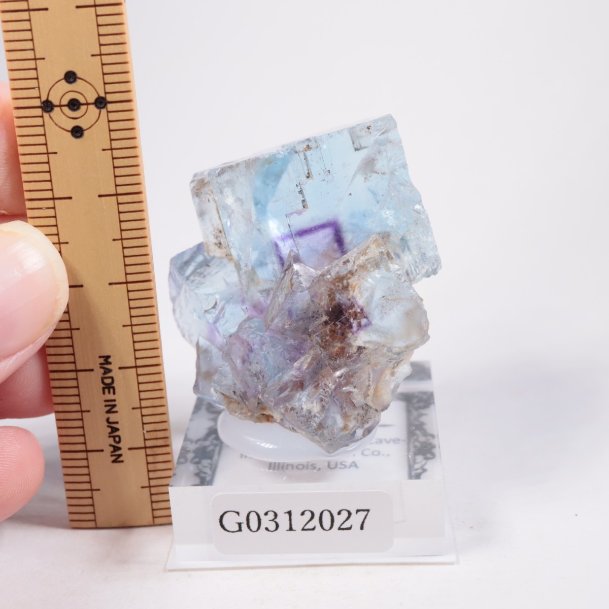 Minerva #1�ۻ� �ե����饤��