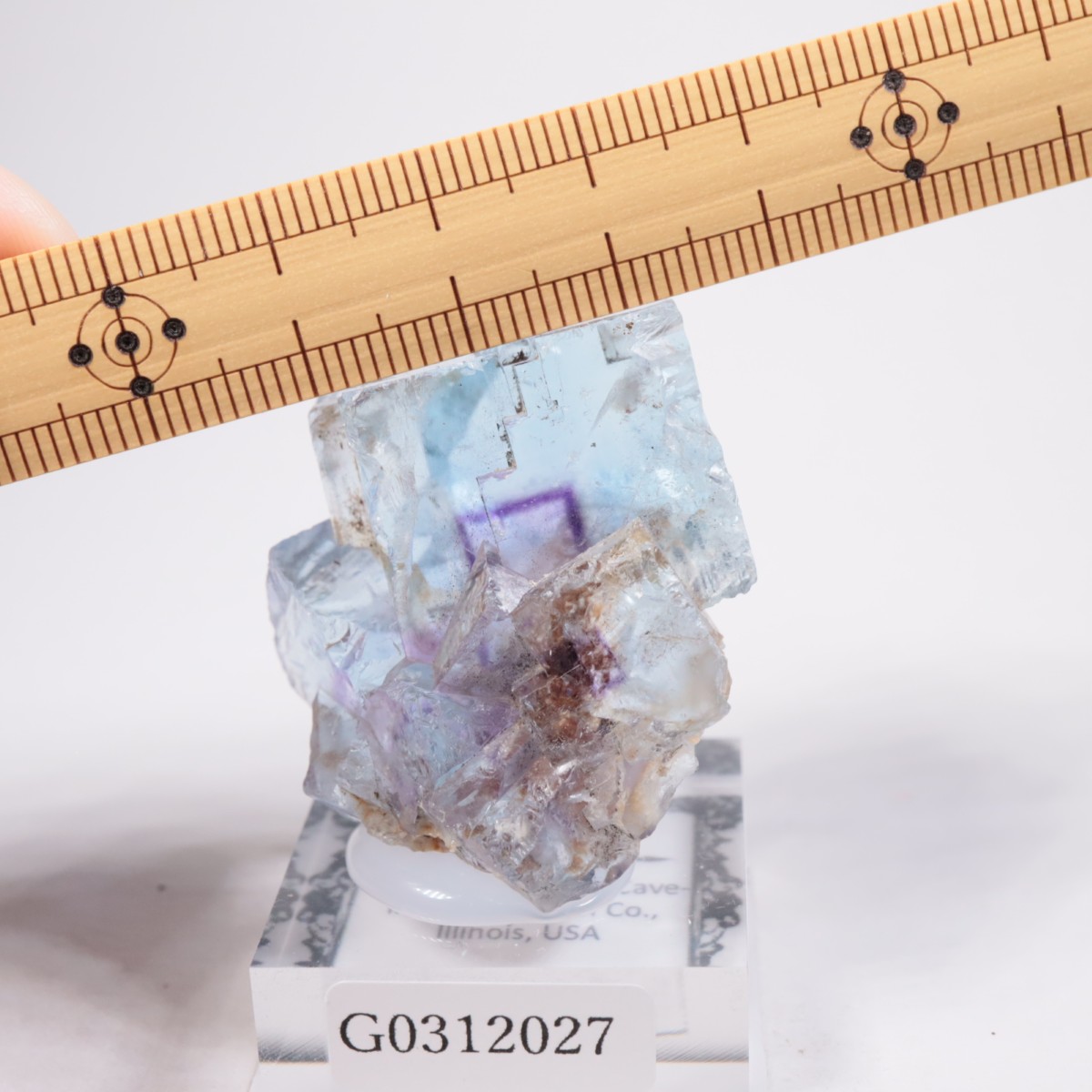 Minerva #1�ۻ� �ե����饤��