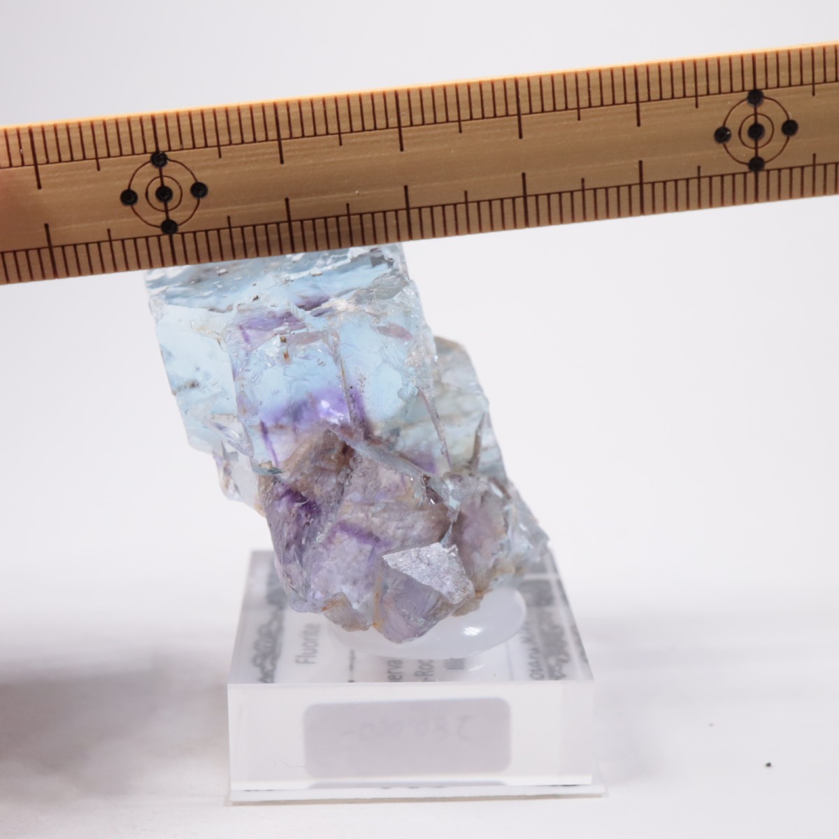 Minerva #1�ۻ� �ե����饤��