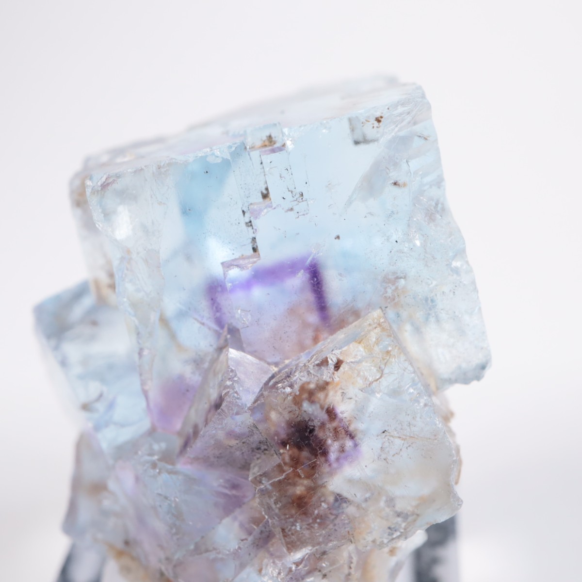 Minerva #1�ۻ� �ե����饤��