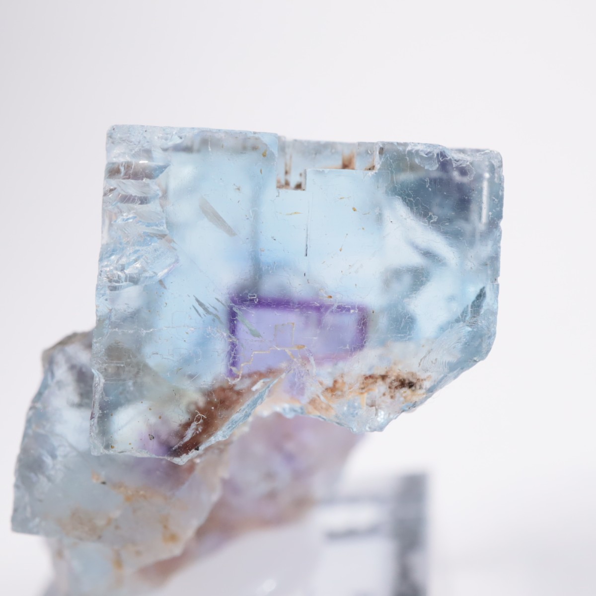 Minerva #1�ۻ� �ե����饤��