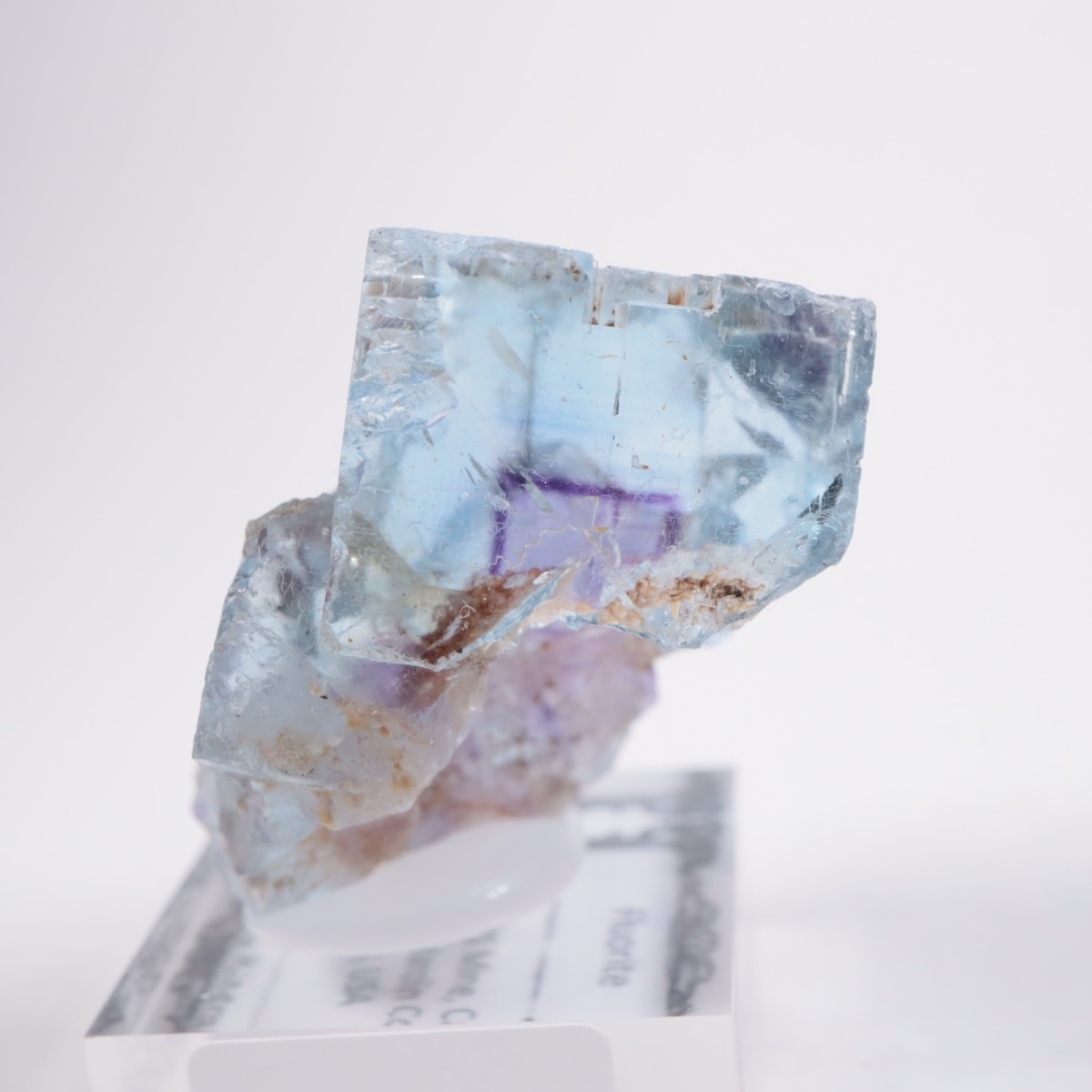 Minerva #1�ۻ� �ե����饤��