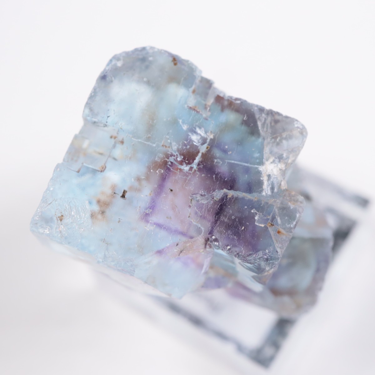 Minerva #1�ۻ� �ե����饤��