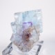 Minerva #1�ۻ� �ե����饤��