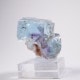 Minerva #1�ۻ� �ե����饤��