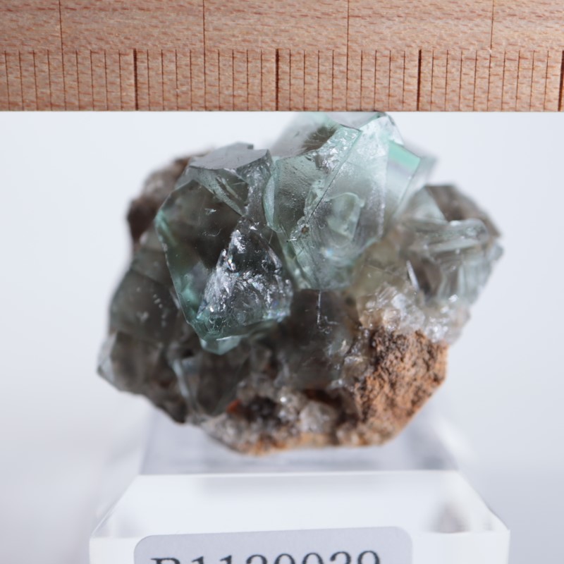 Helens pocket産 フローライト 蛍石 原石 鉱物 鉱物標本 Helens Pocket