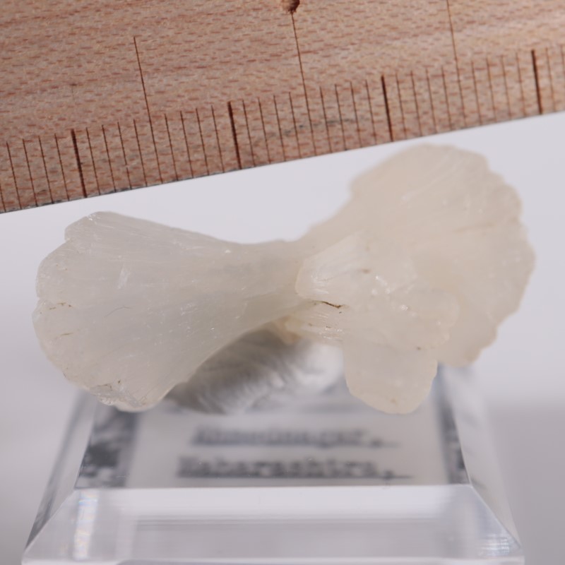 �ܥ����������ƥ���Х���