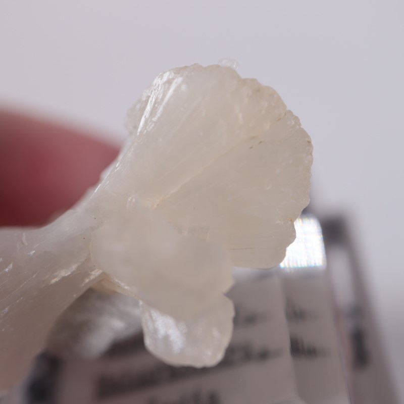 �ܥ����������ƥ���Х���