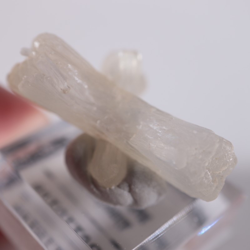 �ܥ����������ƥ���Х���