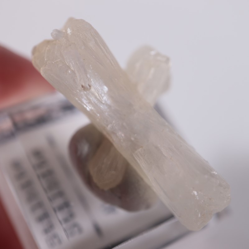 �ܥ����������ƥ���Х���